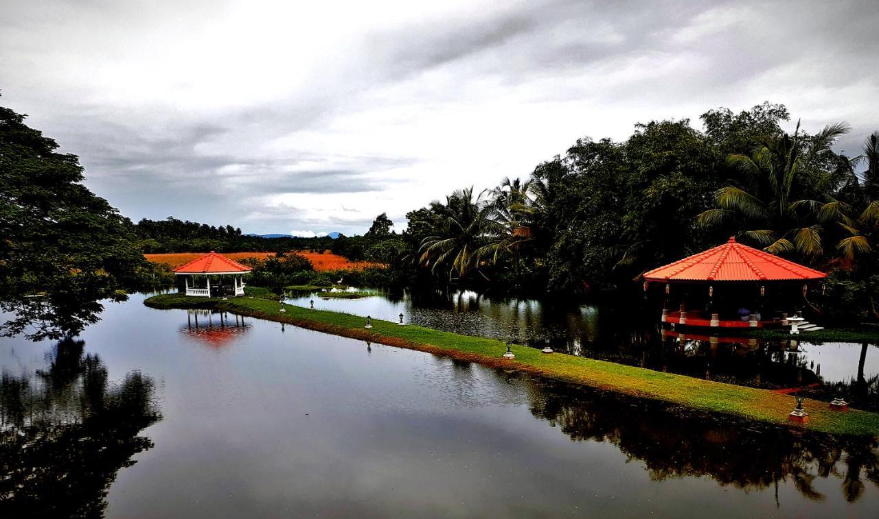 Ayubowan Swiss Lanka Bungalow Resort Bentota Exterior foto
